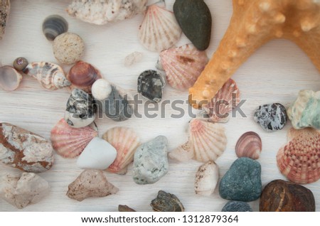 Bright picture with a lot of pink seashells and brown stones. The top view. Close-up. Natural decorative elements with a brown starfish. Beautiful background.