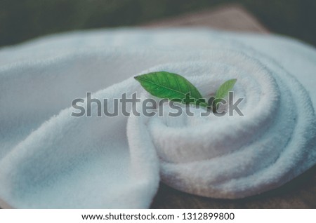 Green leaves in white cloth.Green seedlings.White cloth is a spiral.