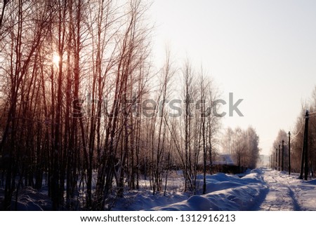 Beautiful winter landscape - rural road on a Sunny day