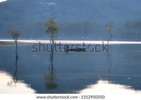 submerged trees with green fresh leaves reflecting on the lake and the boatman at sunrise of the spring