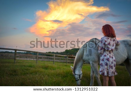 Magical Unicorn at Sunset 