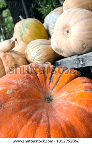 Pumpkins stacked forming a background