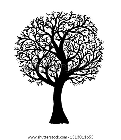 Vector winter tree silhouette isolated on white background.