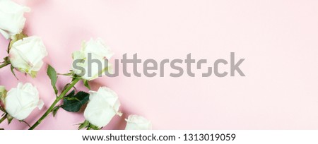 Flowers composition. White rose on pastel pink background. Holiday Party and Gift Concept. Flat lay, top view, copy space . Banner