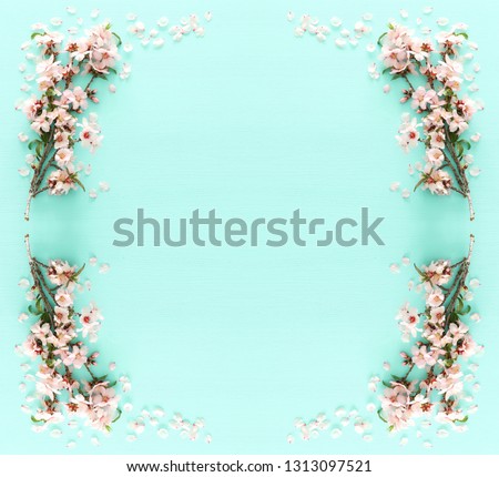 photo of spring white cherry blossom tree on pastel mint wooden background. View from above, flat lay