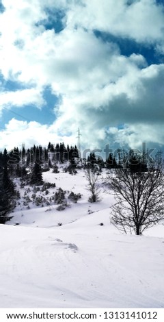 A photo from the snow covered mountain range of Kopaonik
