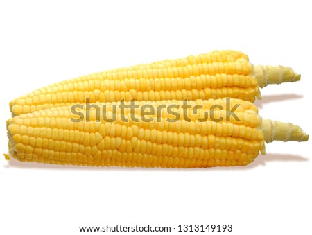 sweet corn isolated Royalty-Free Stock Photo #1313149193