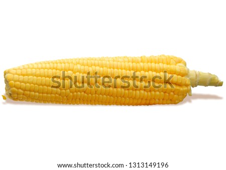 sweet corn isolated Royalty-Free Stock Photo #1313149196