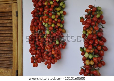 Tomatoes hung on the house wall
