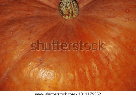 Fragment of a large ripe orange pumpkin