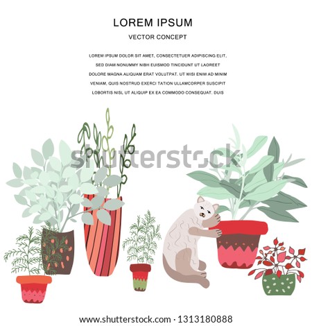 Cat and indoor plants hand drawn colourful composition. Cute cat and house plants float clip art. Isolated cartoon vector illustration with text frame on white background.