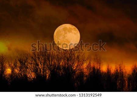 Full mystical Moon over the forest. Landscape of night nature at sunset. 