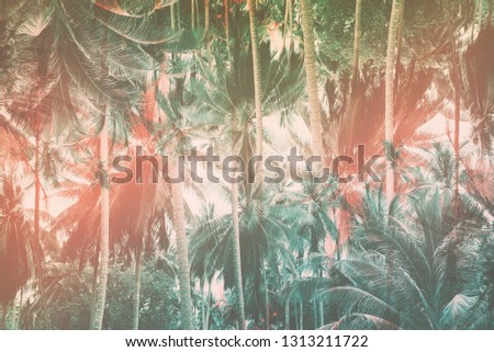 Natural pattern with tropical palm trees jungle. Abstract geometrical symmetry art background. High resolution. Toned pink turquoise faded vintage colors. Toned shabby effect