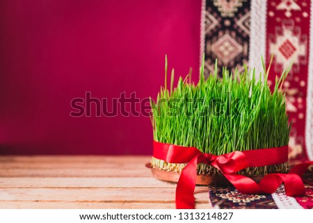 Green fresh semeni sabzi wheat grass on vintage plate decorated with red satin ribbon against dark pink or red background on national style table cloth, Novruz spring celebration in Azerbaijan