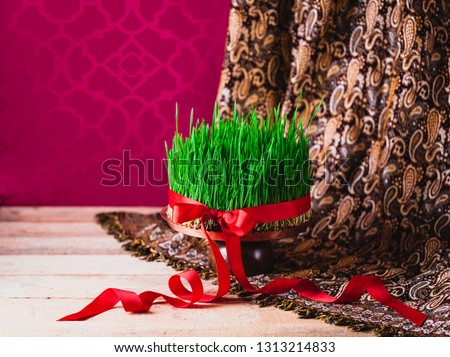 Novruz green fresh semeni, samani sabzi wheat grass on vintage plate decorated with red satin ribbon against dark pink or red background on national style table cloth, spring celebration in Azerbaijan