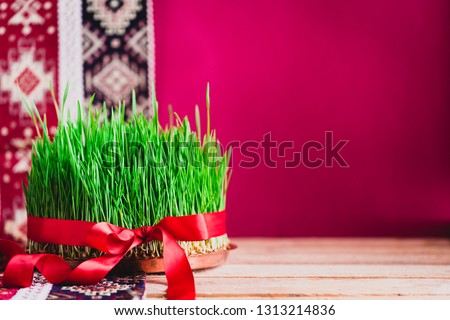 Green fresh semeni sabzi wheat grass on vintage plate decorated with red satin ribbon against dark pink or red background on national style table cloth, Novruz spring celebration in Azerbaijan