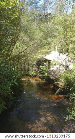 Shallow ford on a stream in Blue Mountains National Park