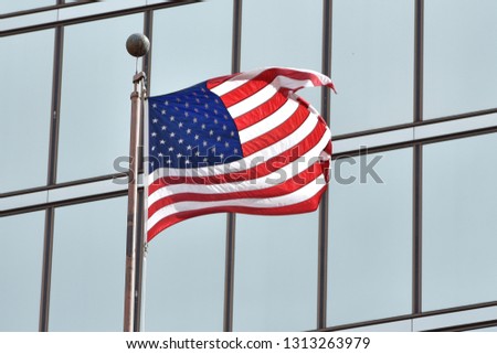 The Flag of the USA