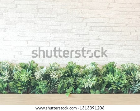Wall and flower