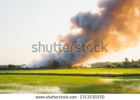Burning garbage heap of smoke.Fire and black smoke outside the village. Soot from burning.Burning garbage heap of smoke from a burning pile of garbage.Causing air pollution.