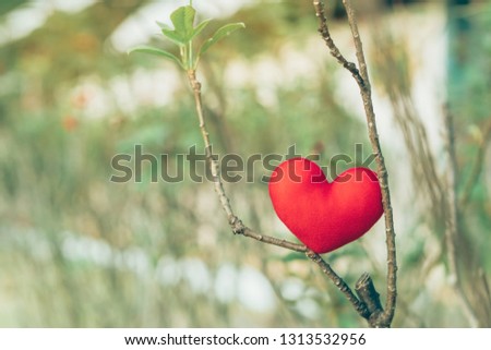 A little red heart pillow on dry tree.