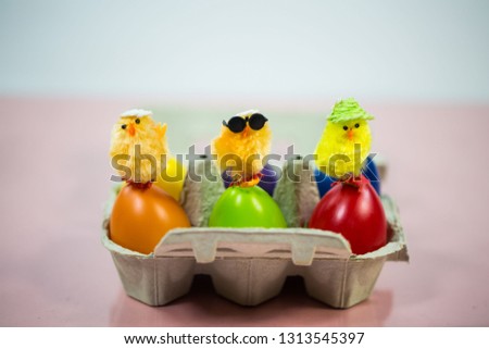 funny chicks on colorful eggs in eggbox, pink background