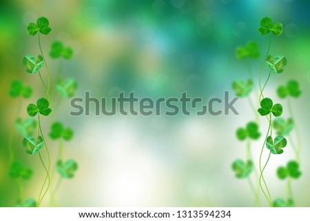 Natural spring holiday background  of clover. St.Patrick 's Day