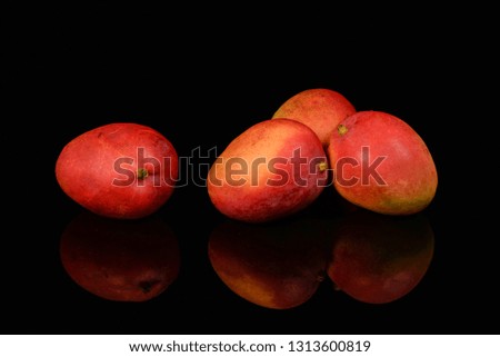 Mango's photographed on a isolated black background with a single fruit and a grouping of the same fruit with vibrant red, orange color