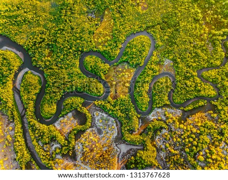 Creek meandering between the mangroves Royalty-Free Stock Photo #1313767628