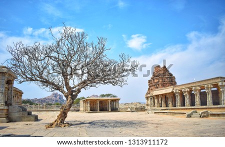 The world heritage site of Hampi in Indian state of Karnataka is in the picture with tree and clear blue sky