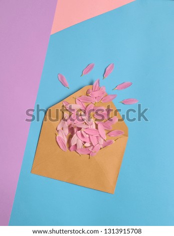 Flower's petals on colorful background.