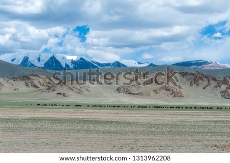 Mongolia. Country landscapes.

