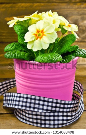 Primroses and flower pot  against wooden background