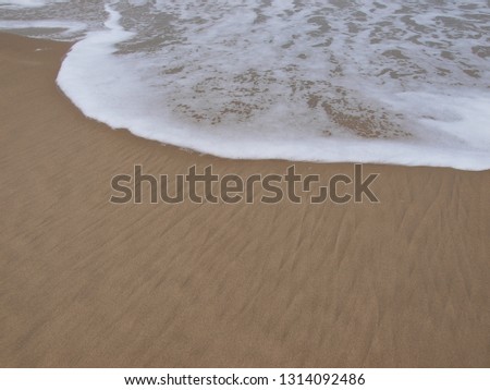 
foam wave on the beach
