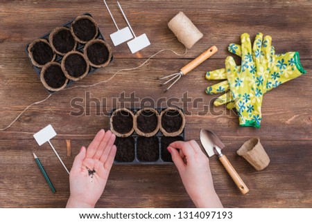 Stages of planting seeds, preparation, gardeners tools and utensils, colorful gloves, organic pots, scissors, woman hands Royalty-Free Stock Photo #1314097193