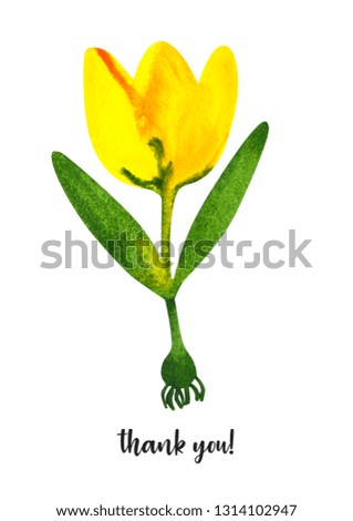 Yellow tulips. illustration flowers. Spring blossoms watercolor. Mother Day, wedding, birthday, Easter, Valentine Day. Background for postcards, posters, clothing, web. Pattern.
