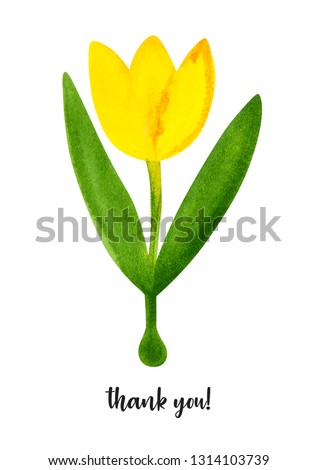 Yellow tulips. illustration flowers. Spring blossoms watercolor. Mother Day, wedding, birthday, Easter, Valentine Day. Background for postcards, posters, clothing, web. Pattern.
