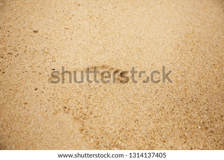 Footprint of bare feet on wet sand. 