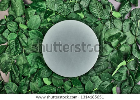 green leaves of roses with gray circle for text. greeting card and design element