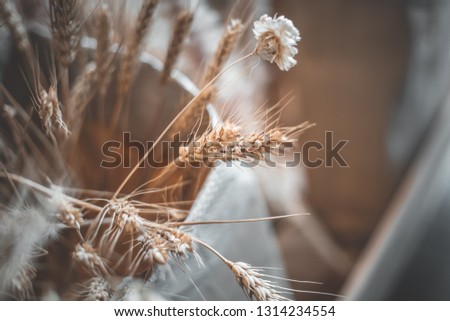 Wheat in bag background