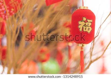 Small chinese lantern for there new year hang on the tree. Chinese character mean Luck