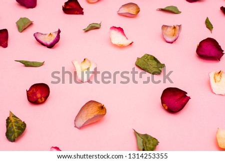 Rose petals are maroon and green leaves on a pink background . The view from the top.