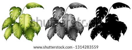 Set of plant design illustration