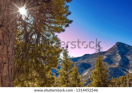 A beautiful mountain view with a sun burst formed behind the branches of an evergreen tree. Colorful sky with a mountain peak in the background.
