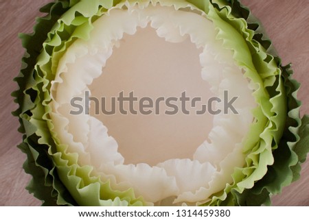 Paper cabbage for a newborn photo shoot, background template, texture for first child photo. Paper cut, handmade, art. 