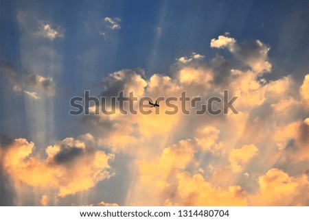 airplane in blue sky golden clouds during sunrise