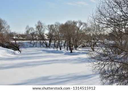 Trees in winter by the river, against the blue sky