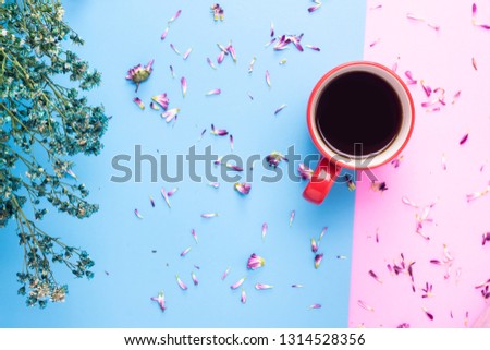 cup coffee ,flower .pastel tone blue pink color background