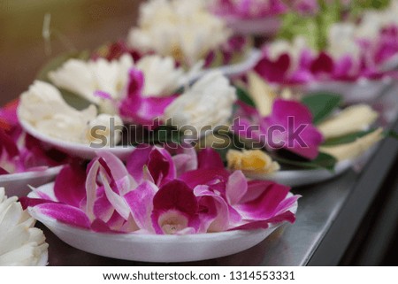 Orchids for worshiping Buddha.