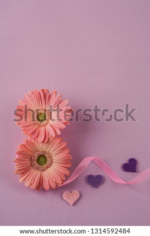 card template, women day card template with number eight shaped Gerber daisy flowers decorated with ribbon and hearts on purple background or surface with copy space